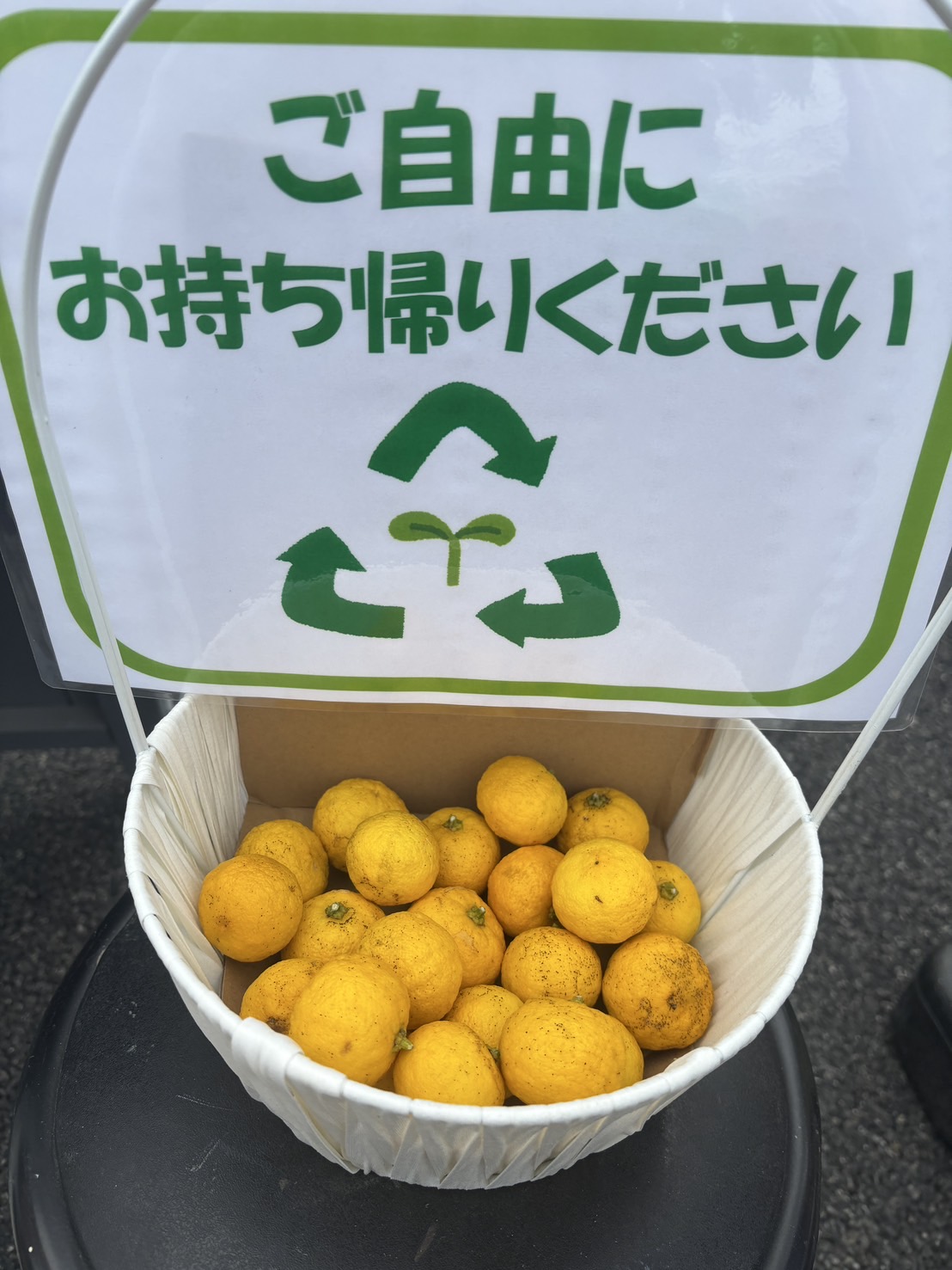 柚子を差し上げます | 株式会社中島工務店｜堺市
